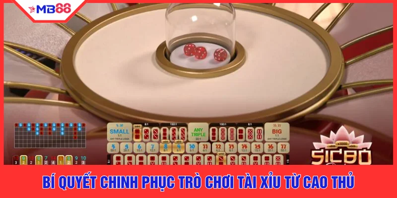 Bí quyết chinh phục trò chơi tài xỉu từ cao thủ